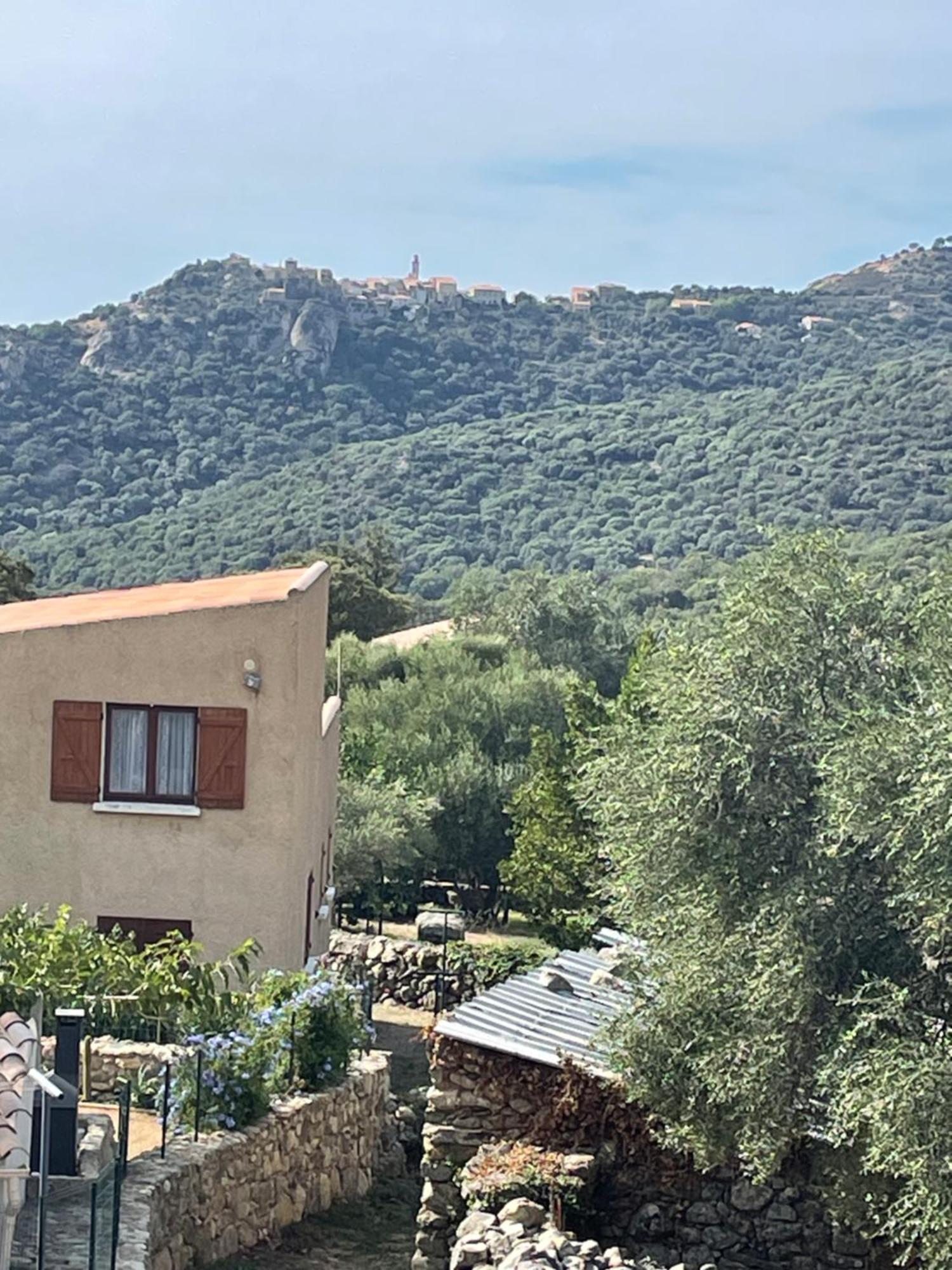 Casa Basgiu, Chambres Avec Balcon Et Table D'Hotes Zilia ภายนอก รูปภาพ